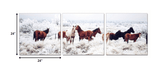 24" Multicolor Canvas 3 Horizontal Panels Horses Photo - Homeroots - Flyclothing LLC