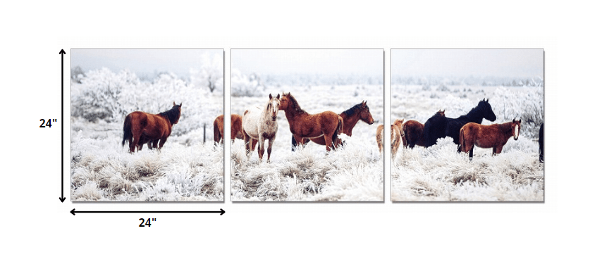 24" Multicolor Canvas 3 Horizontal Panels Horses Photo - Homeroots