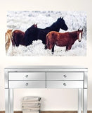 24" Multicolor Canvas 3 Horizontal Panels Horses Photo - Homeroots