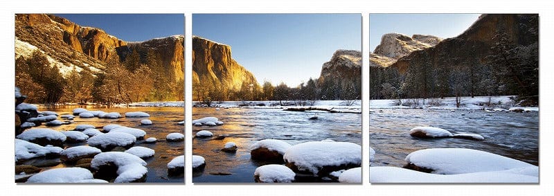 24" Canvas 3 Panels Color Photo - Homeroots