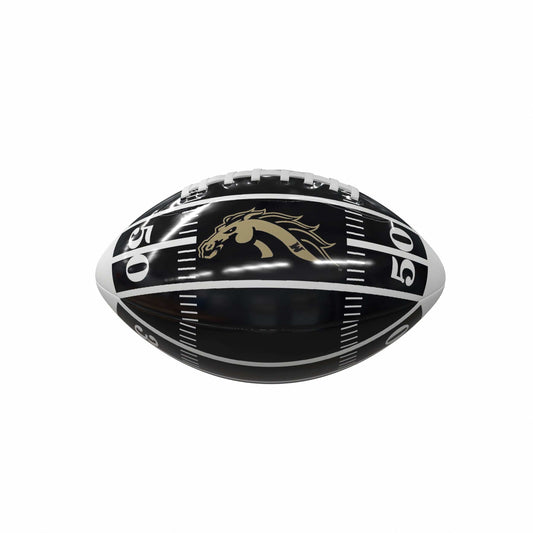 Western Michigan Mini-Size Glossy Football - Logo Brands - Flyclothing LLC
