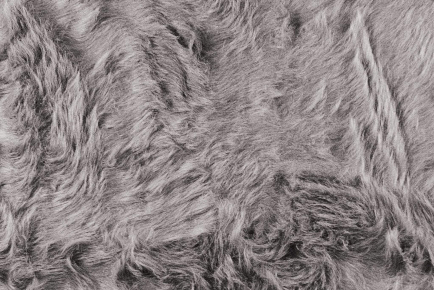 2' X 3' Grey Animal Print Area Rug - Homeroots - Flyclothing LLC