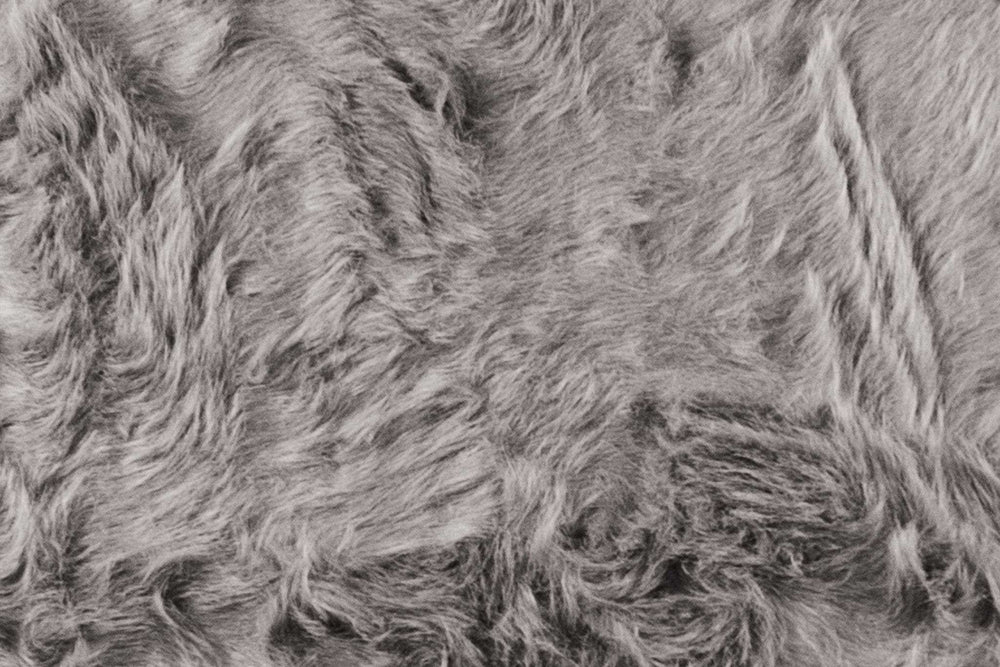 2' X 3' Grey Animal Print Area Rug - Homeroots - Flyclothing LLC