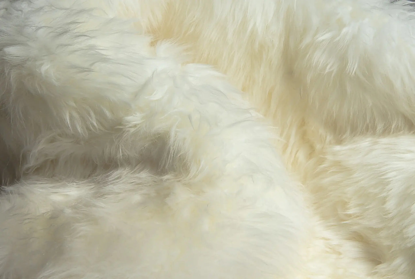 Natural Animal Print Area Rug - Homeroots - Flyclothing LLC