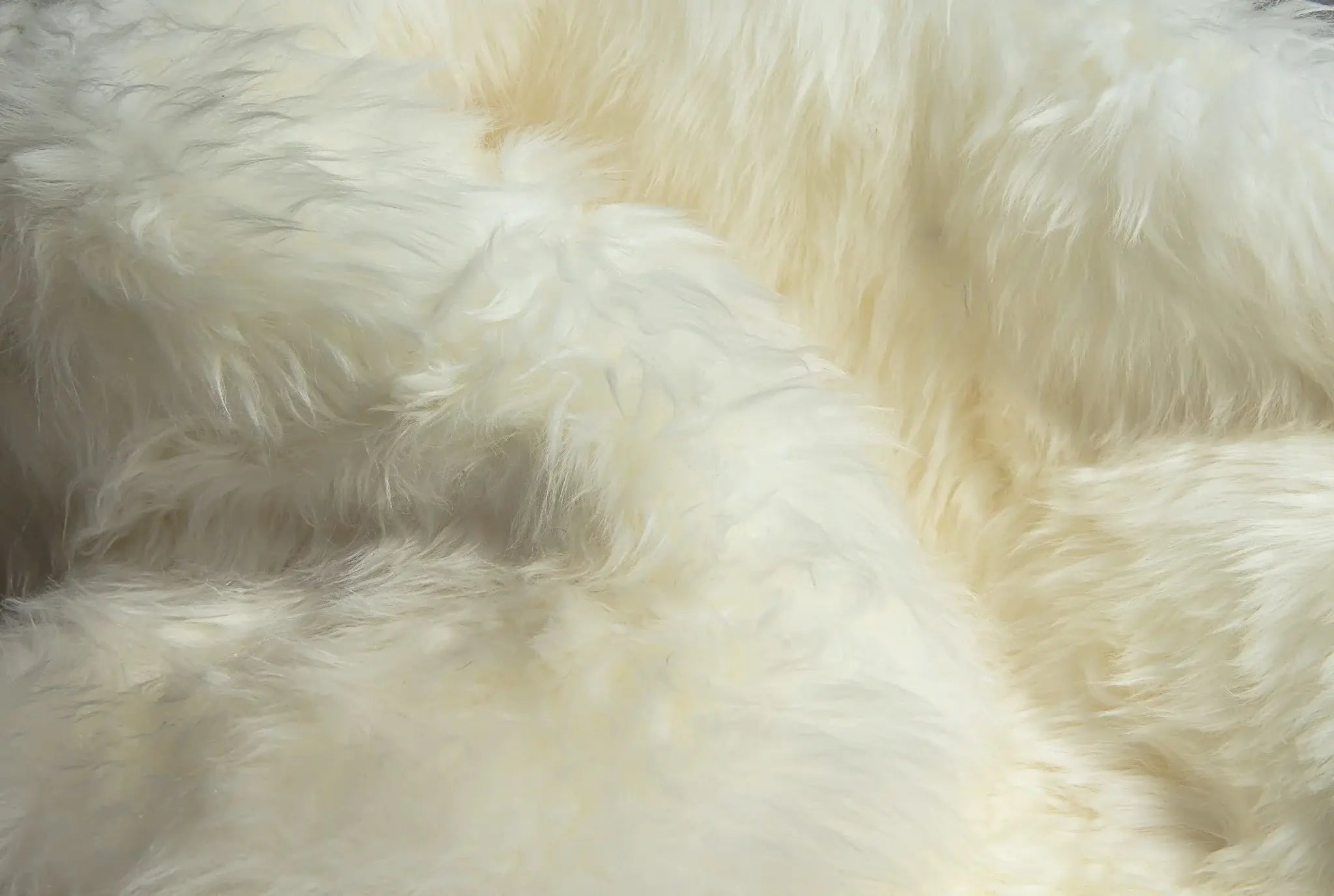 Natural Animal Print Area Rug - Homeroots - Flyclothing LLC