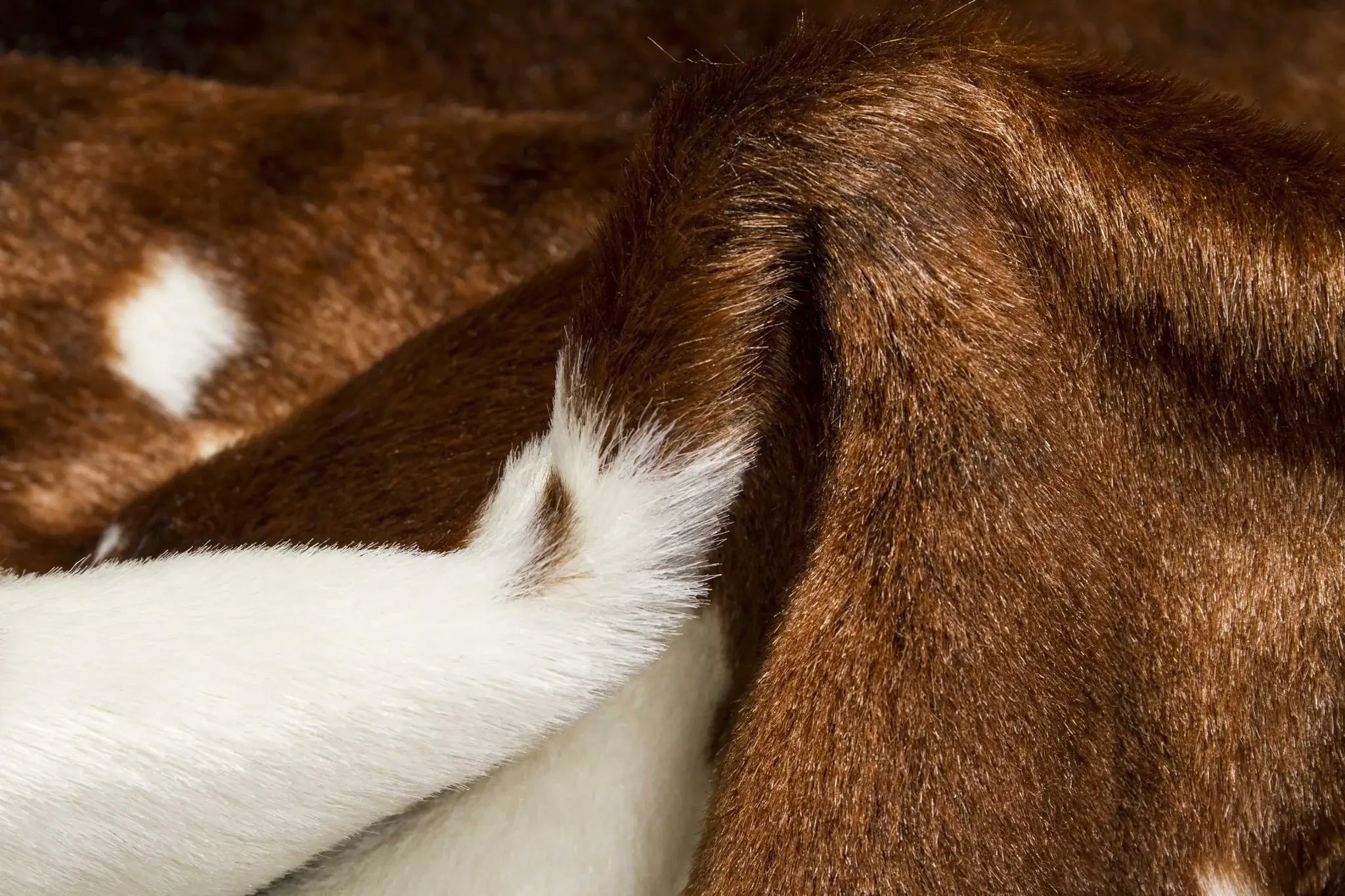 4' X 5' Faux Cow Hide Brown And White Area Rug - Homeroots - Flyclothing LLC