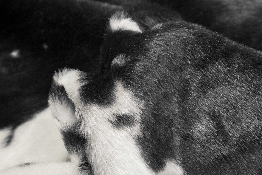 4' X 5' Black and White Faux Cowhide Animal Print Area Rug - Homeroots - Flyclothing LLC