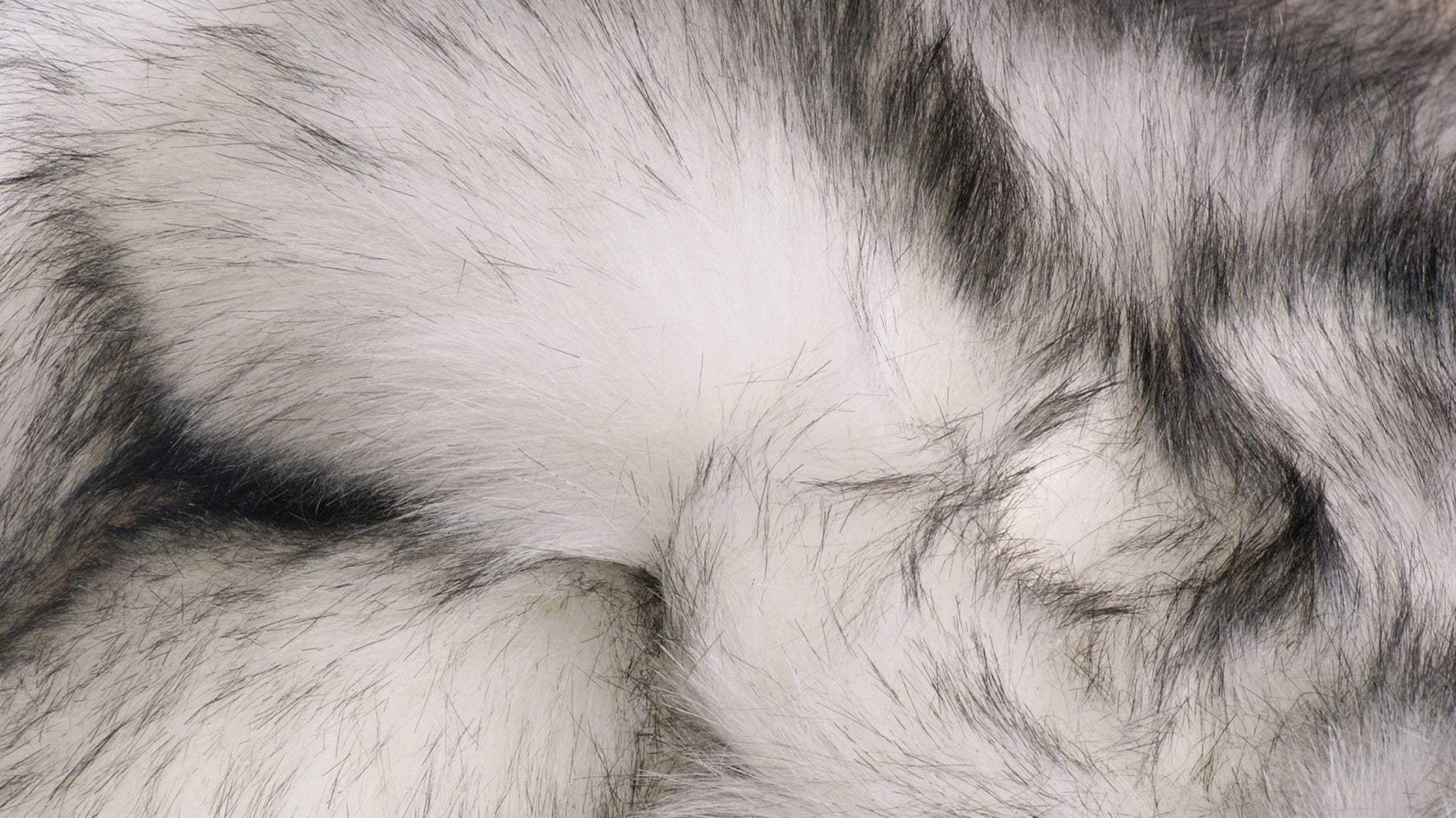 2' X 3' Gray Faux Sheepskin Shag Washable Area Rug - Homeroots - Flyclothing LLC
