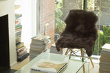 24" X 36" Chocolate Single Sheepskin Area Rug - Homeroots - Flyclothing LLC