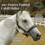 Henri De Rivel 360-Degree Padded Cahill Halter - Breeches.com - Flyclothing LLC