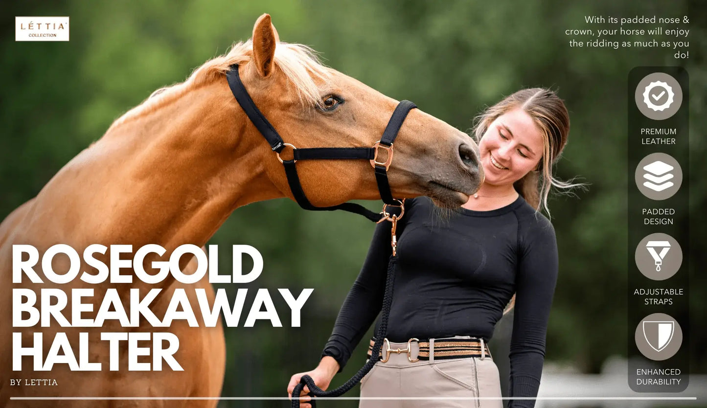 Lettia Rosegold Padded Leather Breakaway Halter - Breeches.com - Flyclothing LLC