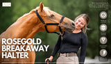 Lettia Rosegold Padded Leather Breakaway Halter - Breeches.com - Flyclothing LLC