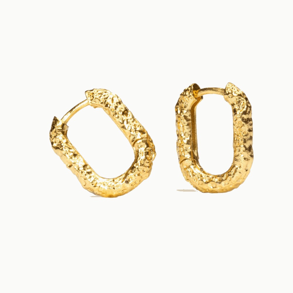 18K Gold-Plated Akira Earrings