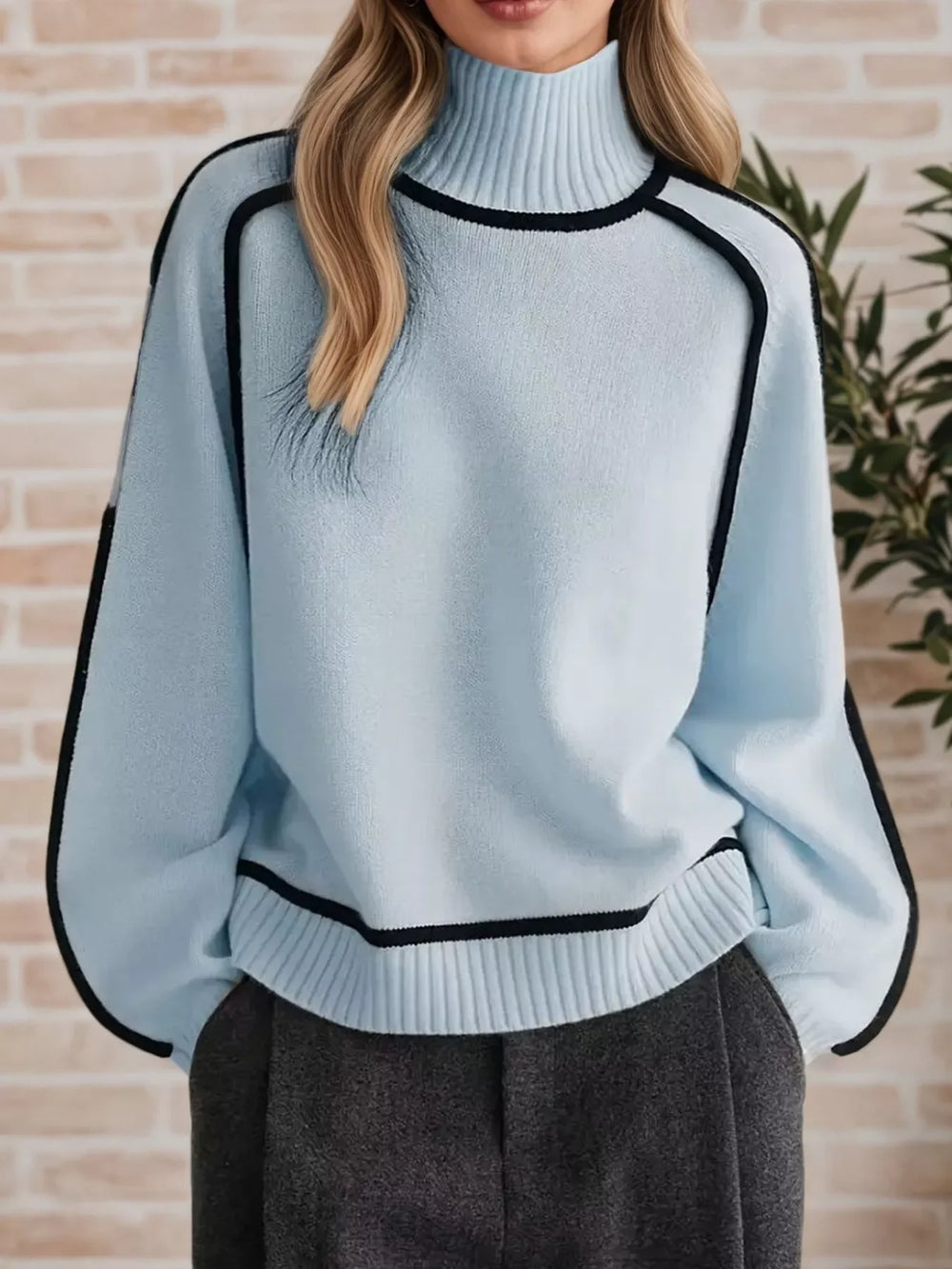 Contrast Trim Turtleneck Sweater - Trendsi - Flyclothing LLC