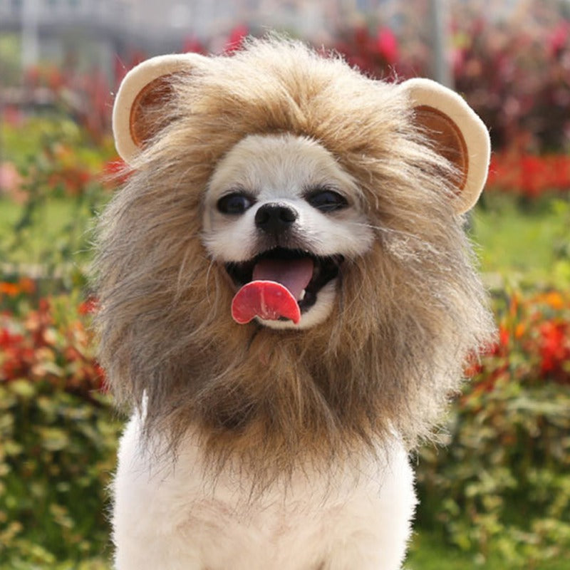 Christmas Funny Hat Cap Pet Dress Simulation Toy Halloween Party Festival Lion Hair Mane Ears Head Cap Scarf Cosplay Costume - My Store - Flyclothing LLC