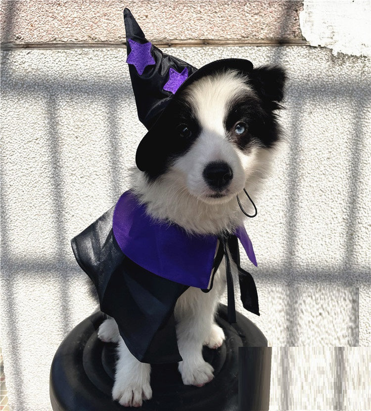 Pet Halloween Wizard Dressup Decoration Set - My Store - Flyclothing LLC