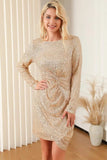 Sequin Knot Round Neck Long Sleeve Mini Dress - Trendsi - Flyclothing LLC