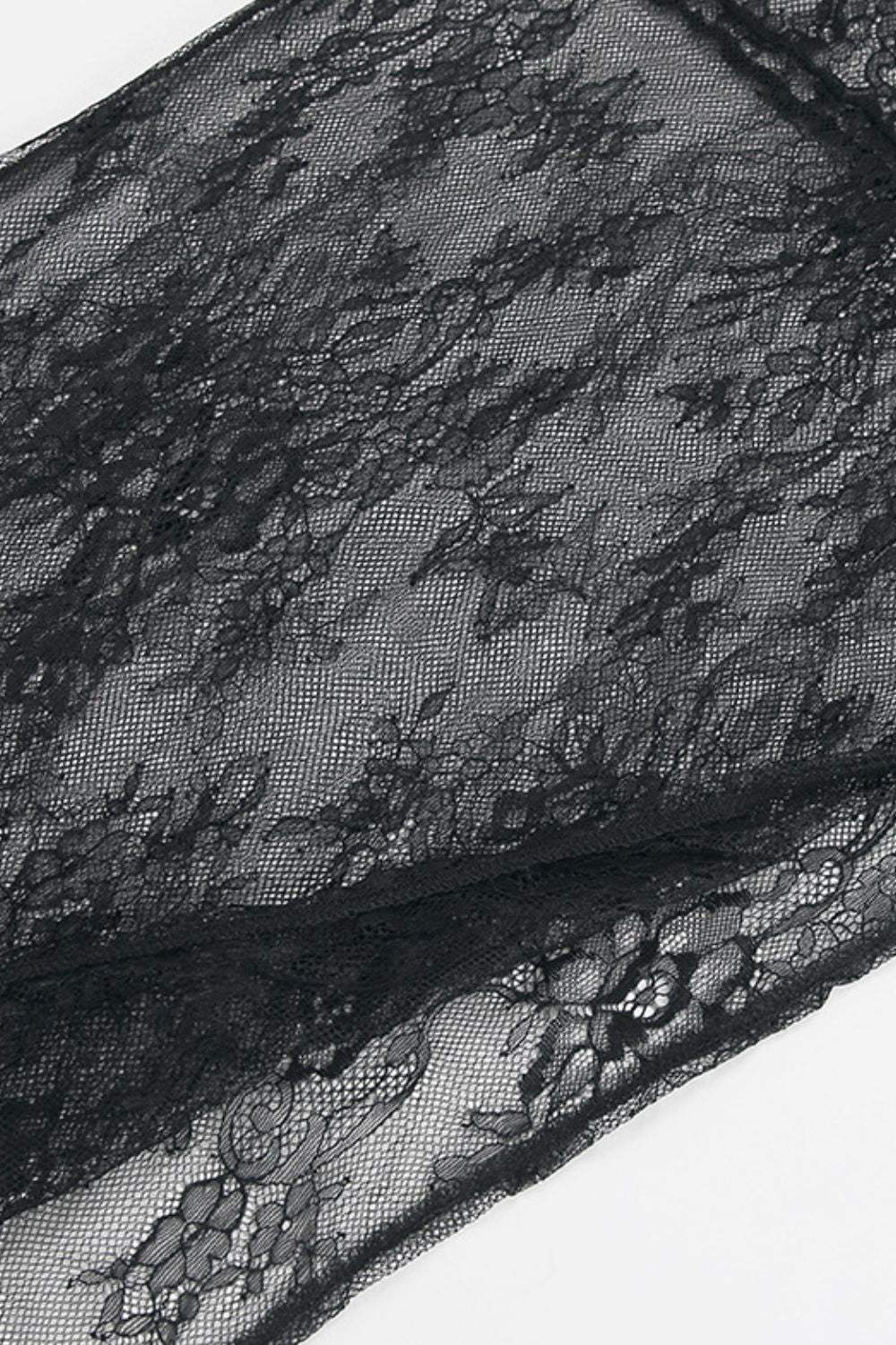 Fringe Round Neck Long Sleeve Lace Sheer Top - Trendsi - Flyclothing LLC
