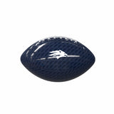 Nevada Carbon Fiber Mini Size Glossy Football