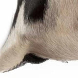 18" Black and White Cowhide Throw Pillow - Homeroots