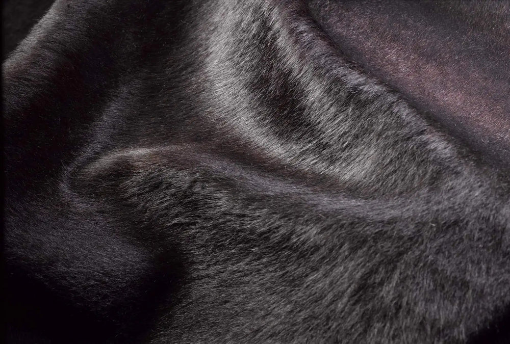 72" X 84" Chocolate Cowhide - Rug - Homeroots - Flyclothing LLC