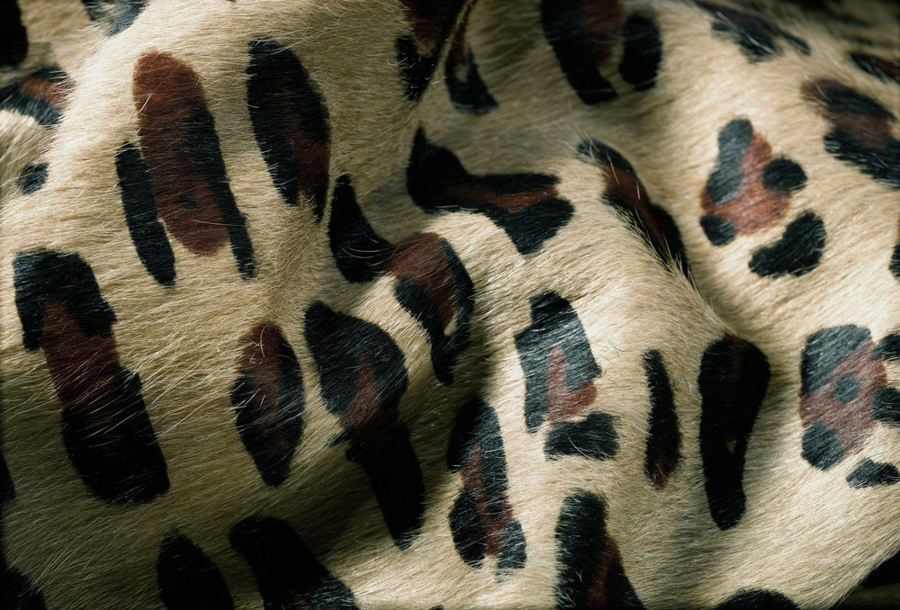 72" X 84" Leopard Cowhide - Rug - Homeroots - Flyclothing LLC