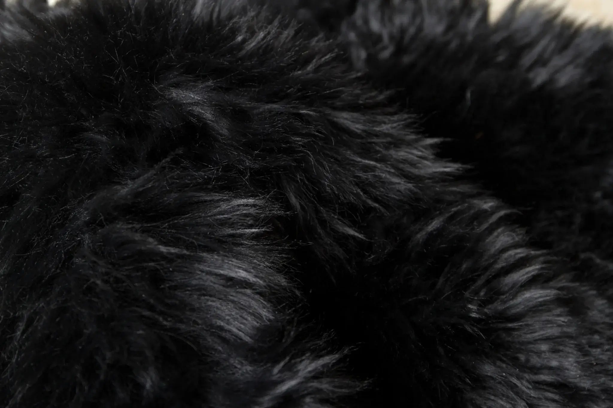 Black Animal Print Area Rug - Homeroots - Flyclothing LLC