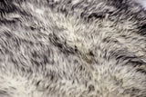 Gradient Gray Animal Print Area Rug - Homeroots - Flyclothing LLC