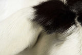 2' X 3' Natural Black And White Calfskin Area Rug - Homeroots