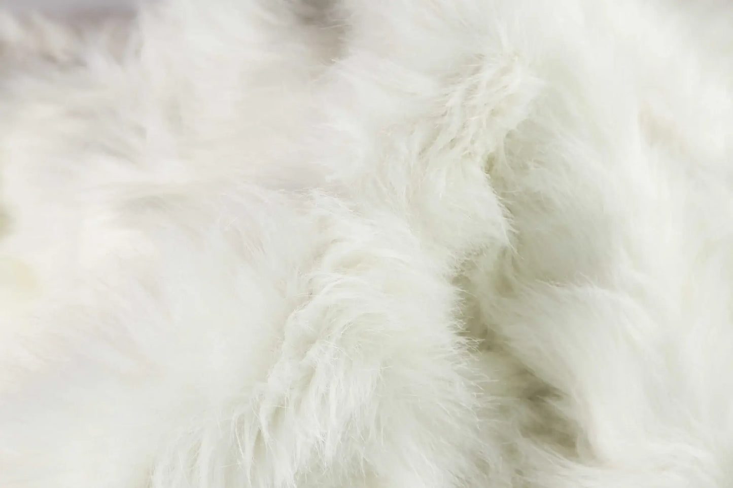 Off White Animal Print Area Rug - Homeroots - Flyclothing LLC