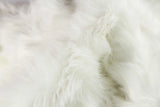 Off White Animal Print Area Rug - Homeroots - Flyclothing LLC