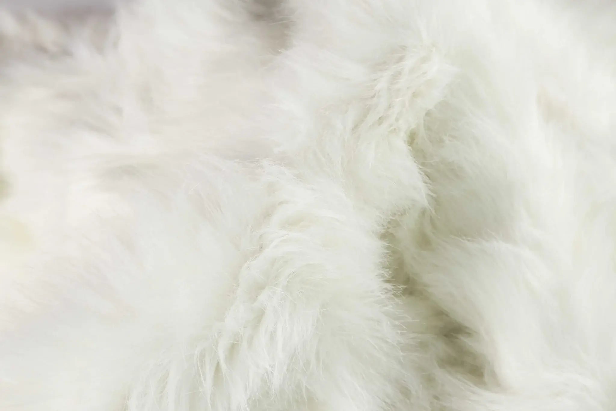 Off White Animal Print Area Rug - Homeroots - Flyclothing LLC