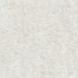 Off White Animal Print Area Rug - Homeroots - Flyclothing LLC