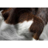 60" X 84" Chocolate And White Cowhide - Area Rug - Homeroots