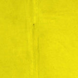 60" X 84" Yellow Cowhide - Area Rug - Homeroots - Flyclothing LLC