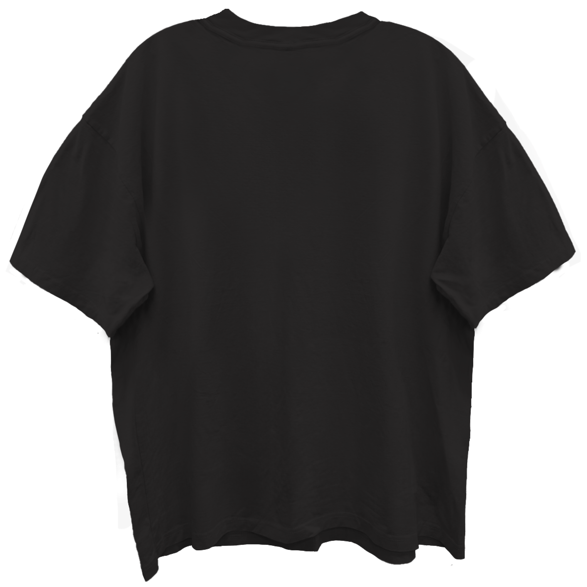 TUPAC LA PHOTO TEE LIMO BLACK T-SHIRT/ GIANT VINTAGE
