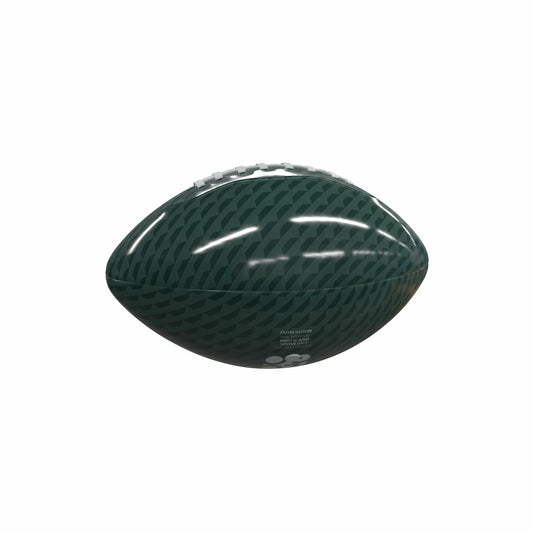 North Dakota State Carbon Fiber Mini Size Glossy Football - Logo Brands - Flyclothing LLC