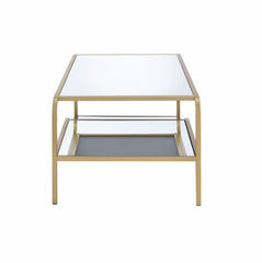 52" X 24" X 18" Gold And Clear Glass Metal Coffee Table - Homeroots