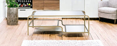 52" X 24" X 18" Gold And Clear Glass Metal Coffee Table - Homeroots