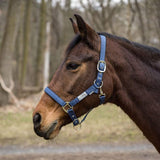 Lettia EquiFine Halter - Breeches.com - Flyclothing LLC
