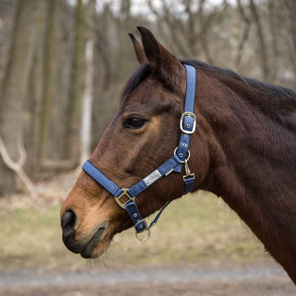 Lettia EquiFine Halter - Breeches.com - Flyclothing LLC