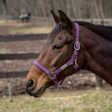 Lettia EquiFine Halter - Breeches.com - Flyclothing LLC