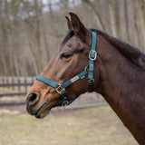 Lettia EquiFine Halter - Breeches.com - Flyclothing LLC