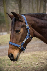 Lettia EquiFine Halter - Breeches.com - Flyclothing LLC