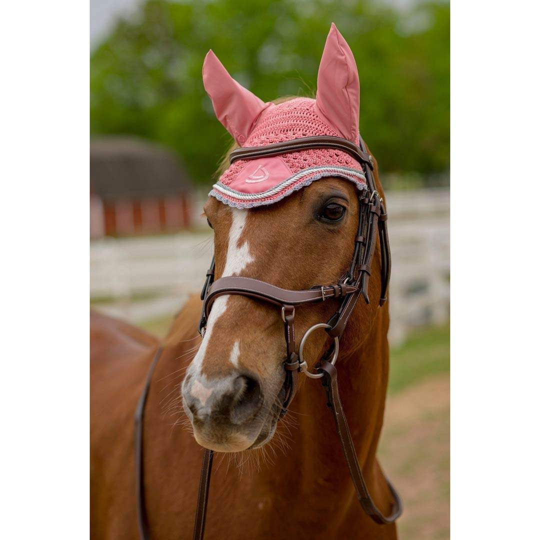 Lettia Shadow Ear Net - Breeches.com - Flyclothing LLC