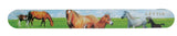 Lettia Nail File - Breeches.com - Flyclothing LLC