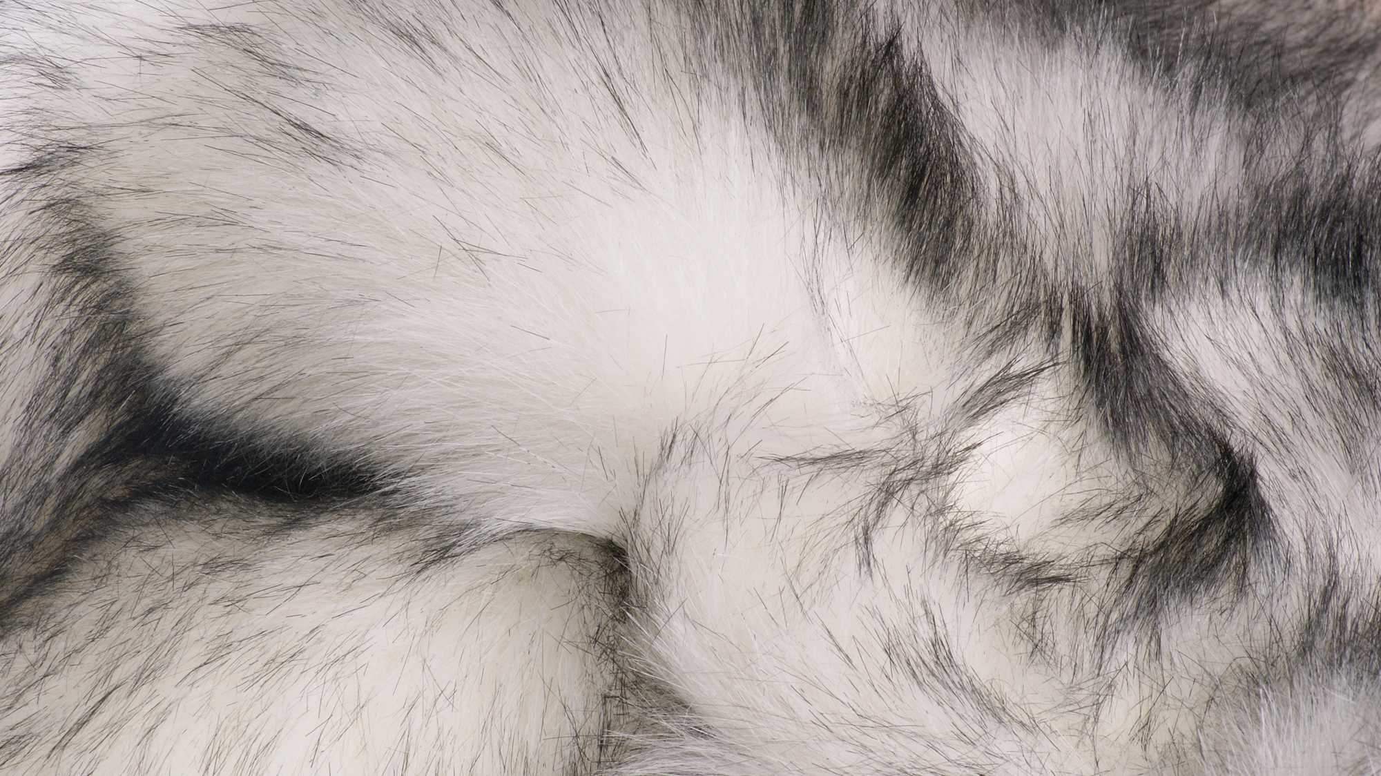 2' X 3' Gradient Gray and Ivory Faux Fur Flokati Style Area Rug - Homeroots - Flyclothing LLC