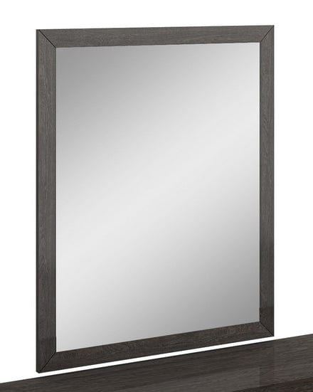 43" Refined Grey High Gloss Mirror - Homeroots
