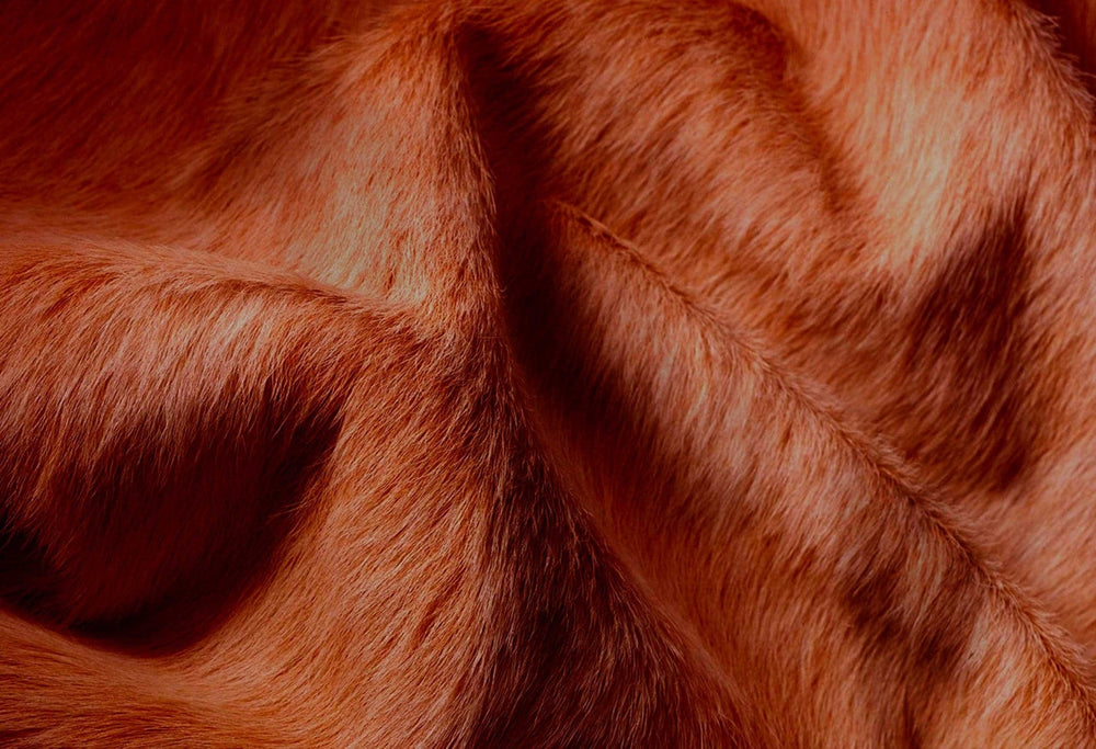 72" X 84" Brown Cowhide Rug - Homeroots - Flyclothing LLC