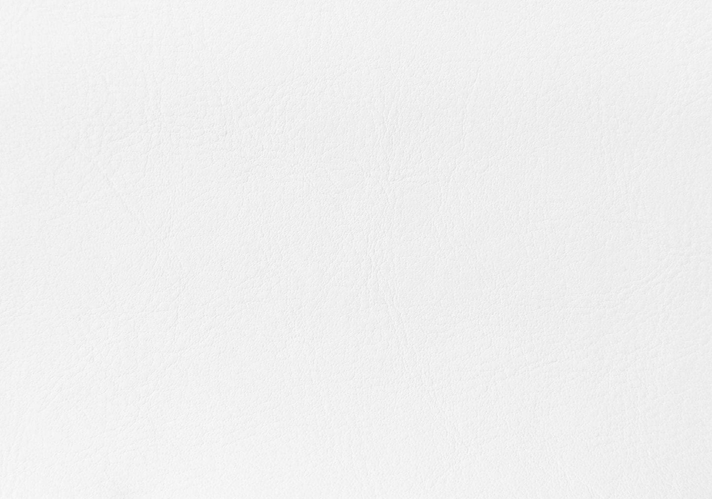 White Solid Wood Twin Upholstered Faux Leather Bed Frame - Homeroots - Flyclothing LLC